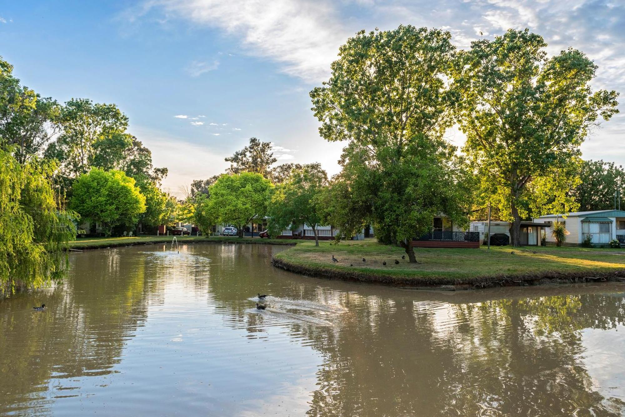 Discovery Parks - Maidens Inn Moama Exteriör bild